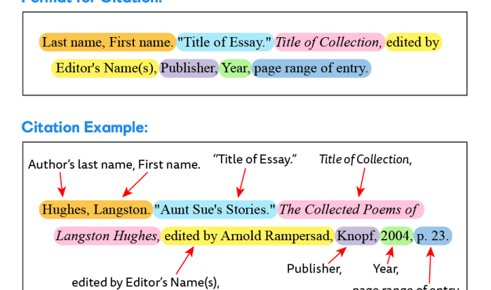 Mla citation of the things they carried