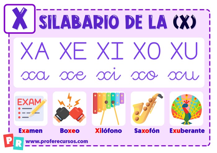 Palabras con xa xe xi xo xu