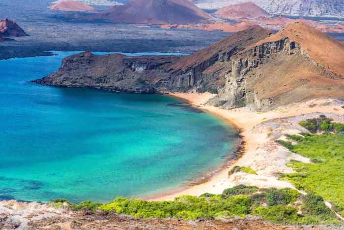 Muchas personas visitan las islas galápagos para ver to see