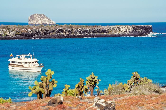 Muchas personas visitan las islas galápagos para ver to see